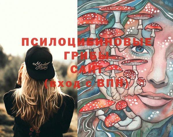 mdma Кинешма