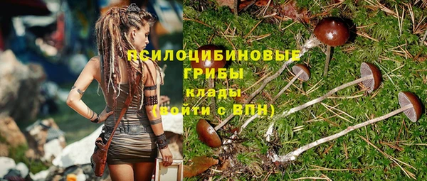 гашик Киренск