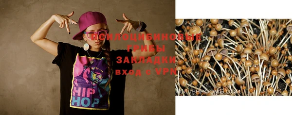 гашик Киренск