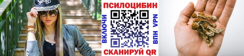 Галлюциногенные грибы Cubensis Заозёрный