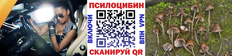 Купить где  Заозёрный  Галлюциногенные грибы MAGIC MUSHROOMS 